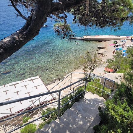 Luxury Apartments Villa Ruzmarina With New Heated Infinity Pool And Lounge Area Marusici  Exterior foto